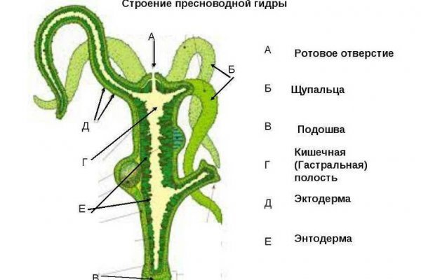 Кракен ссылка маркет